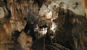 image-21